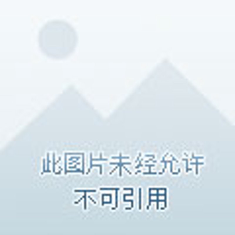 电子家谱