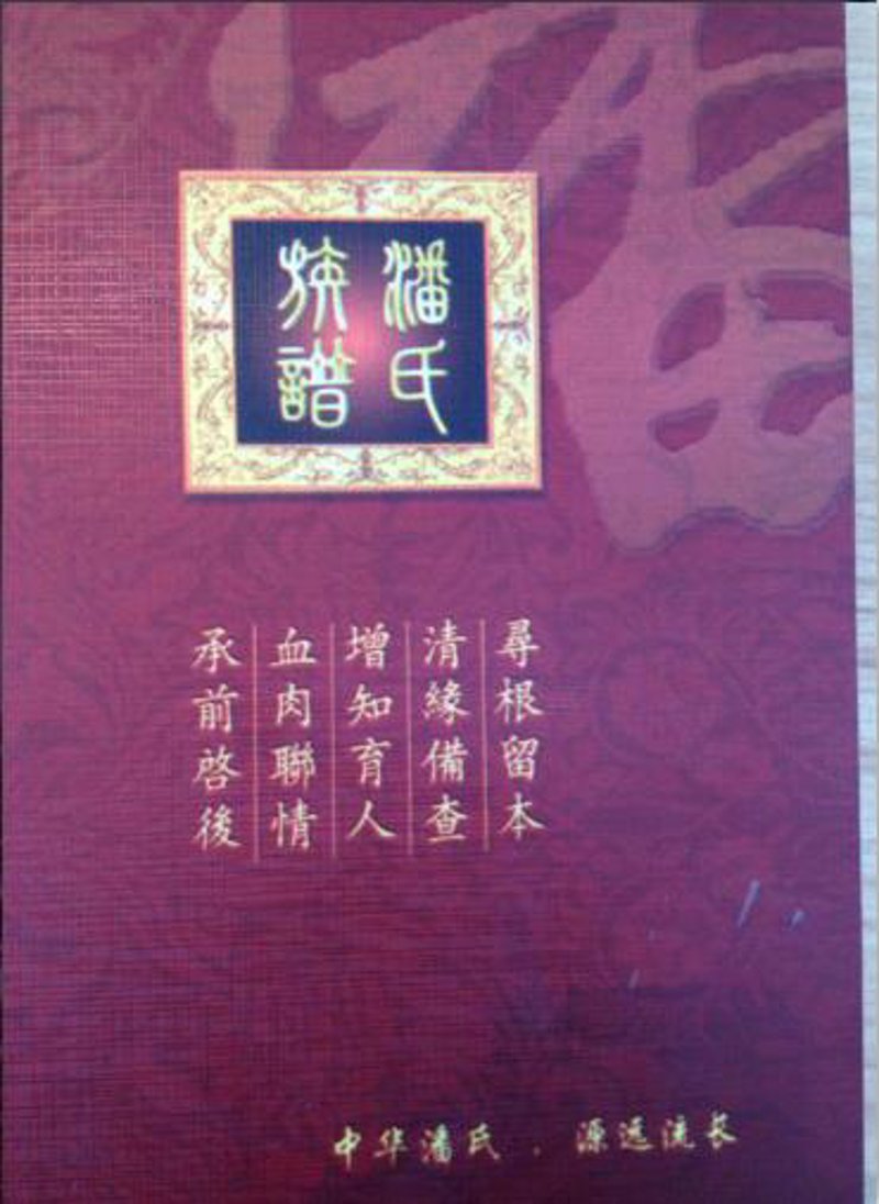 数据决胜：姓氏手抄报优劣对比与实操指南