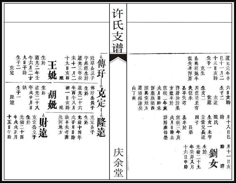 寻根问祖网：从族谱DNA到云端数据库，三步锁定你的世系基因链
